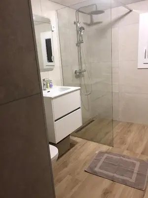 a bathroom with a shower and a toilet and a sink at Studio bord de mer in Lecci