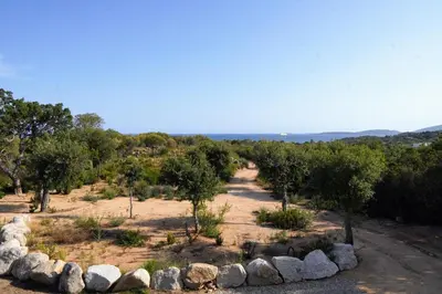 a path through a field with trees and rocks at Casa Vitalba in Zonza