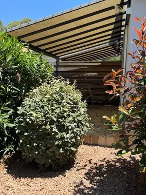 a pair of bushes in front of a building with a bench at Résidence Patios di Pruno in Figari