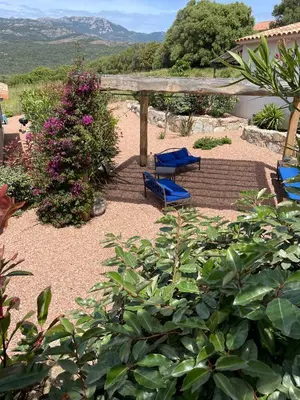 a patio with two blue chairs and a tree at Résidence Patios di Pruno in Figari