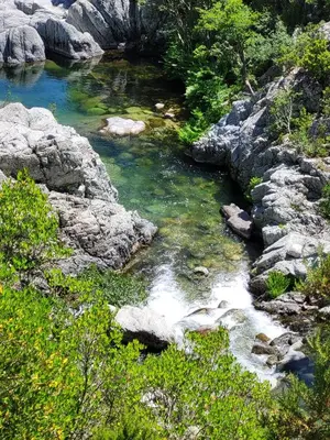 a stream of water with rocks and trees at Porticcio - Agosta Plage - T2 - Chez Cath et JC in Albitreccia