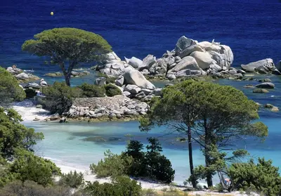 an island with trees and rocks in the water at Villa vue mer à 5 minutes à pied du centre ville de Porto-Vecchio in Porto-Vecchio