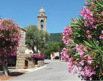 a street with a clock tower in the distance with flowers at U caseddu di Monacia in Monacia-dʼAullène