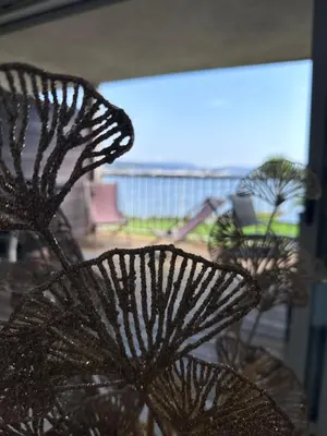 a group of glass flowers sitting in a room at Les oliviers 6 - Appartement pieds dans l'eau in Porto-Vecchio