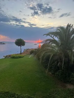 a view of a beach with palm trees and the ocean at Les oliviers 6 - Appartement pieds dans l'eau in Porto-Vecchio