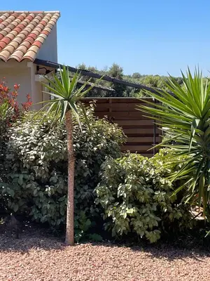 a couple of palm trees and bushes in front of a house at Résidence Patios di Pruno in Figari