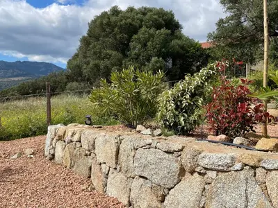 a stone retaining wall with flowers and plants at Résidence Patios di Pruno in Figari