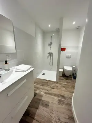 a white bathroom with a shower and a toilet at Casacilagna in Zonza
