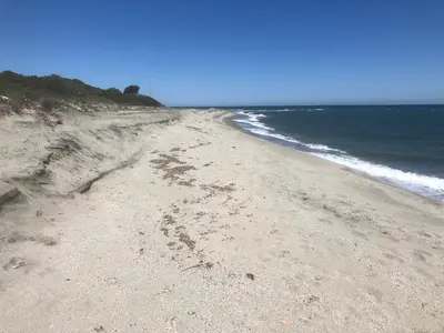 a beach with footprints in the sand and the ocean at Bravone in Linguizzetta