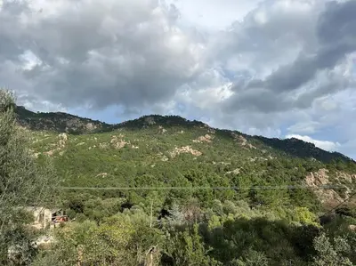 a view of a mountain with trees and a bridge at A SUARELLA - Villa climatisée - 4 chambres - piscine chauffée in Sainte-Lucie de Porto-Vecchio