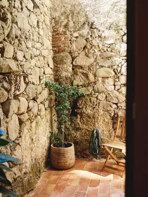 a plant in a barrel next to a stone wall at Ajaccio Hypercentre, Superbe appartement dans une ancienne écurie du XVIIIe Siècle in Ajaccio
