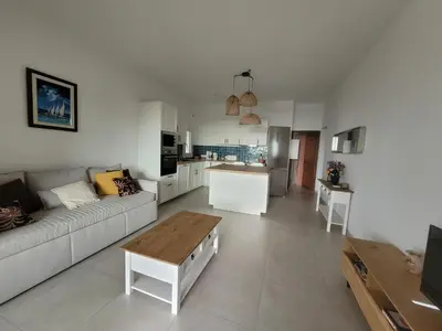 a living room and kitchen with a couch and a table at Le petit Sampiero 2 in Pietrosella