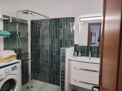 a bathroom with a shower and a washing machine at Le petit Sampiero 2 in Pietrosella