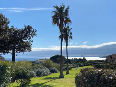 two palm trees in a park with the ocean in the background at Mini-villa Bocca del Oro - Sud Porto-Vecchio in Bocca del Oro