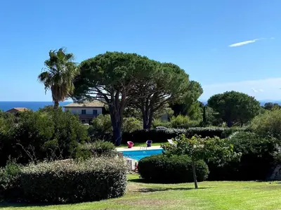 a swimming pool in a garden with a palm tree at Mini-villa Bocca del Oro - Sud Porto-Vecchio in Bocca del Oro
