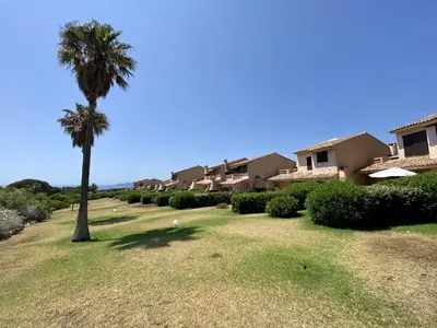 a palm tree in the middle of a yard at Mini-villa Bocca del Oro - Sud Porto-Vecchio in Bocca del Oro