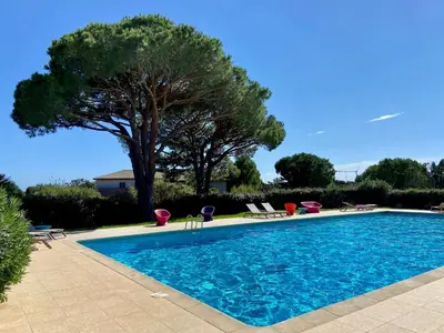 a swimming pool with chairs and a tree at Mini-villa Bocca del Oro - Sud Porto-Vecchio in Bocca del Oro