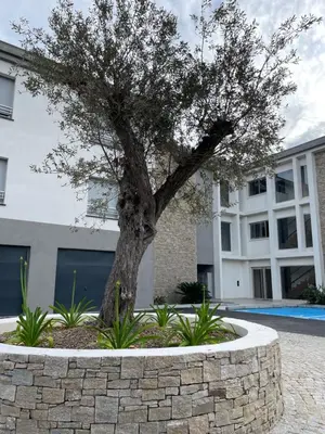 a tree in a stone wall in front of a building at A Rundinella in Grosseto-Prugna
