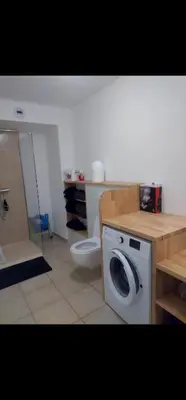 a bathroom with a washing machine and a toilet at Appartement Corse in Santa-Maria-Poggio