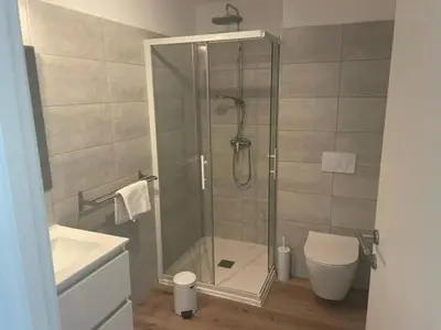 a bathroom with a shower and a toilet at Corse du sud Fiori di cala rossa T2 rez de jardin dans résidence piscine in Lecci