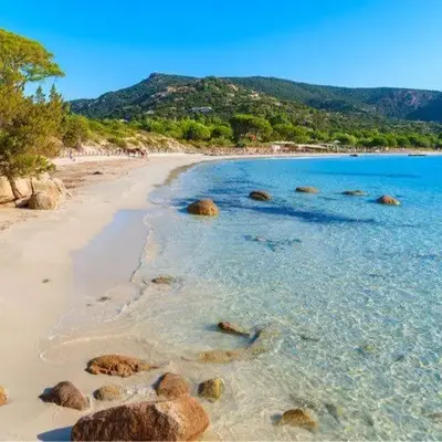 Corse du sud Fiori di cala rossa T2 rez de jardin dans résidence piscine