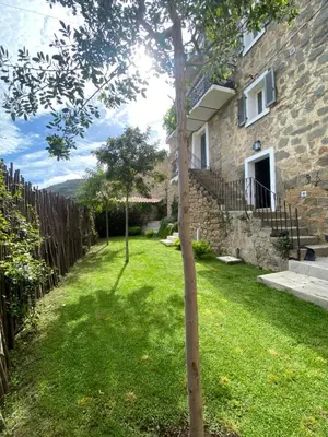 a tree in the yard of a house at Charming air-conditioned house with garden & view in Olmeto
