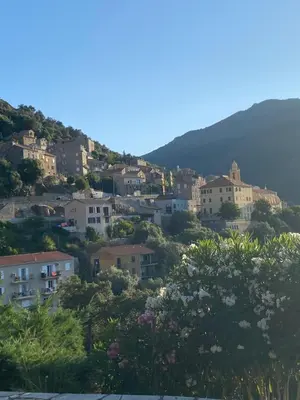 a village on a hill with houses and flowers at Charming air-conditioned house with garden & view in Olmeto