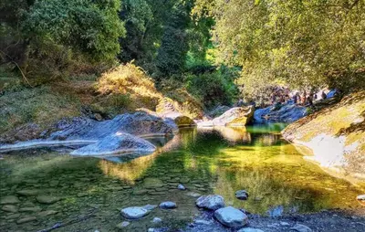 a stream of water with rocks and trees in the background at Lovely Home In Vignale With Wifi in Vignale