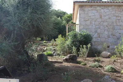 a garden with rocks and trees and a building at Villa ALPANNA in Cirendinu