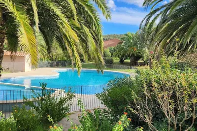 a swimming pool with palm trees around it at Mini villa Favone in Conca