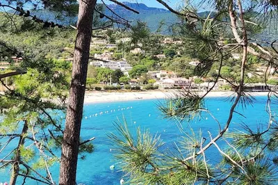 a beach with a bunch of birds in the water at Mini villa Favone in Conca