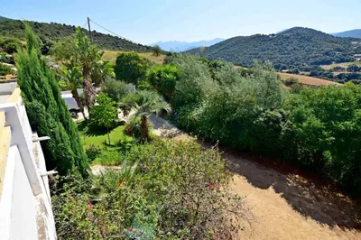 a garden with bushes and trees on a hill at Maison Capanelli in Casa delle Torre