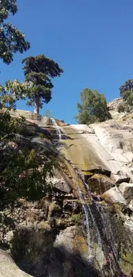 a waterfall on the side of a hill with a tree at A casa di Francesca in Marignana