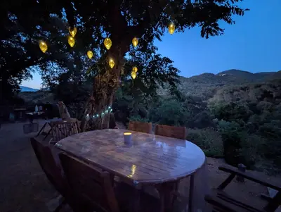 a table under a tree with lights on it at La chambre de Ptitruc au coeur du maquis in Granace