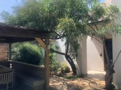 a garden with a tree and a wooden pergola at Villa à Cala-Rossa,Porto-Vecchio proche des plages in Le Ranch