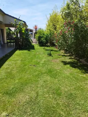 a yard with green grass and some bushes and trees at Charmante villa avec jardin in Prunete