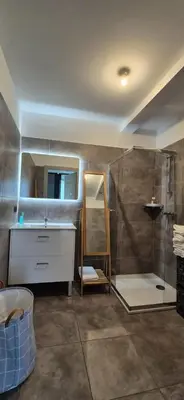 a bathroom with a shower and a sink and a mirror at Charmant appartement in Borgo