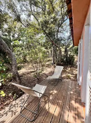 two chairs sitting on a wooden deck with trees at Logement Mésange600m à pied de SantaGiulia Jacuzzi in Porto-Vecchio