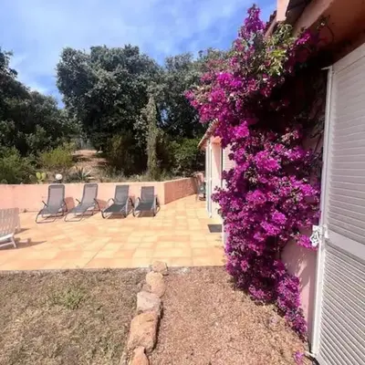 Logement Linotte