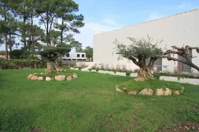 two trees in the middle of a grass field at Résidence Isola Hotel in Borgo