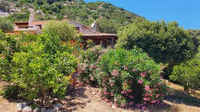 a house with a bunch of bushes and trees at Villa Nitiola Plage de Palombaggia in Bocca del Oro