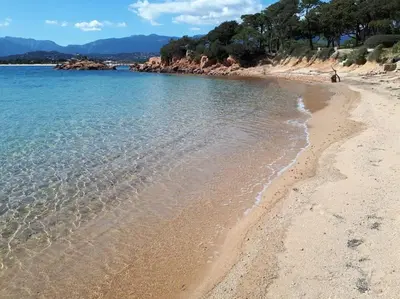 a sandy beach with water and trees in the background at Sea view villa - Cala Rossa private park in Lecci
