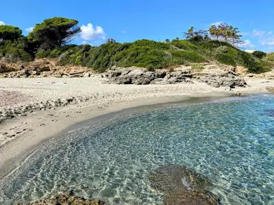 a beach with clear water and a sandy shore at Charmant appartement climatisé proche mer in Linguizzetta