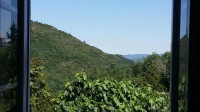 a view of a mountain from a window at Gîte casa di l'Apa in Venaco