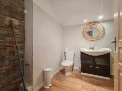 a bathroom with a sink and a toilet and a mirror at Gîte casa di l'Apa in Venaco