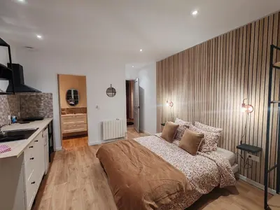 a large bedroom with a bed and a kitchen at Gîte casa di l'Apa in Venaco