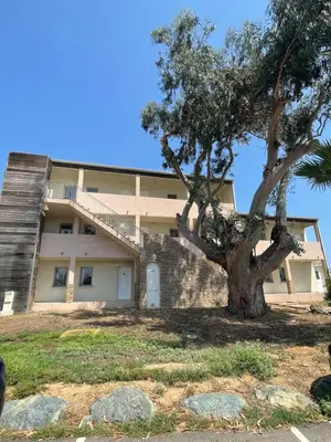 a house with a tree in front of it at Carpediem-corsica Bravone in Linguizzetta