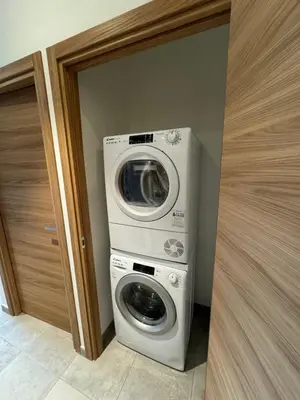 a washing machine and a washer in a room at T3 de standing à Piana in Piana