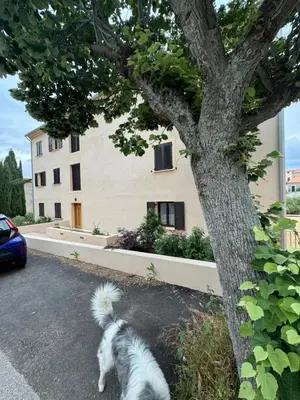 a white dog standing next to a tree at T3 de standing à Piana in Piana