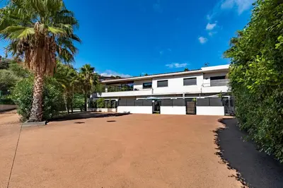 a building with a palm tree in front of it at Paradisu - Apt climatisé de 32 m² in Porticcio